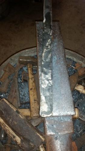 20160117_113842-576x1024-1