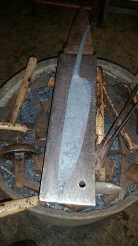 20160117_133352-576x1024-1